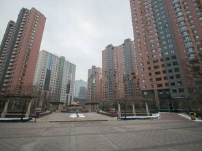 太陽宮豐和園臨街底商出租 繁華地段高檔社區(qū)，月租61479元