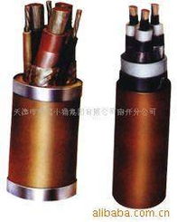 天津市天纜小貓集團南開分公司通訊電纜及控制電纜產品列表